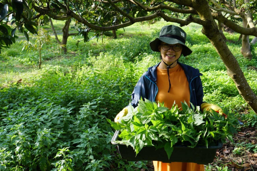 Tốt nghiệp kinh tế nhưng Chu Thị Lan (sinh năm 1993) lại về quê nhà khởi nghiệp từ thảo mộc. Ảnh: NVCC