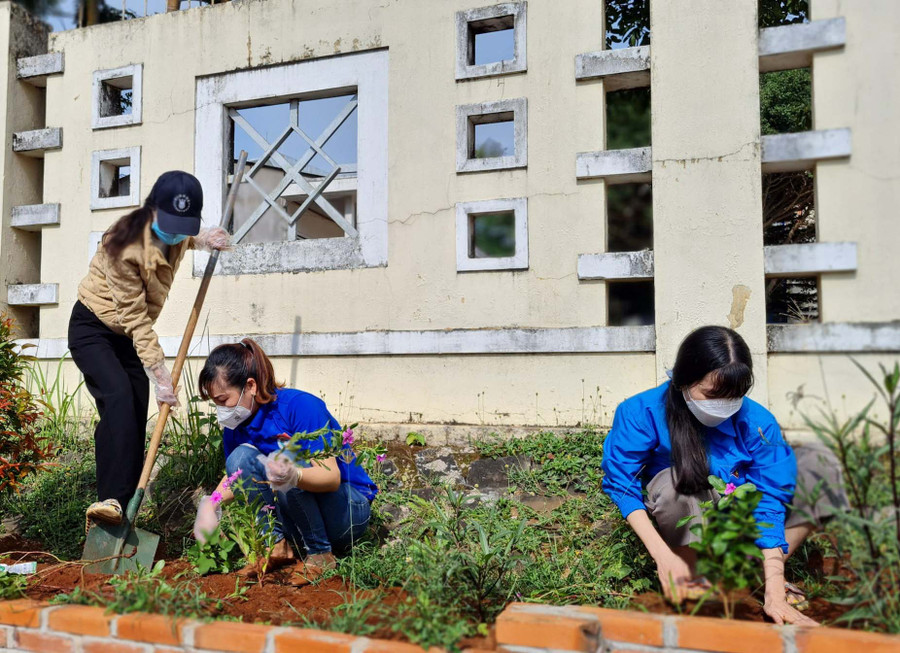 Đoàn viên, thanh niên phường Phù Đổng (TP. Pleiku) chăm sóc tuyến đường hoa trên địa bàn TP. Pleiku. Ảnh: Minh Nhật