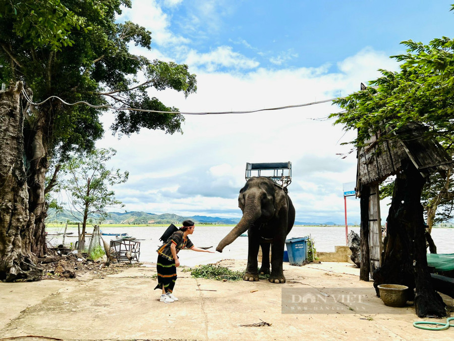 Thành phố Buôn Ma Thuột sẽ trở thành 