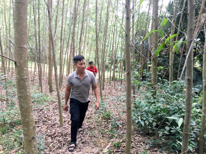 Các lực lượng đang nỗ lực tìm kiếm quân nhân bị mất liên lạc Các lực lượng đang nỗ lực tìm kiếm quân nhân bị mất liên lạc