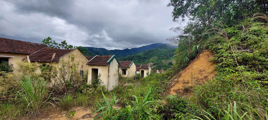 Khu tái định cư ngủ quên giữa cỏ dại. Ảnh: Đức Nhật Khu tái định cư ngủ quên giữa cỏ dại. Ảnh: Đức Nhật