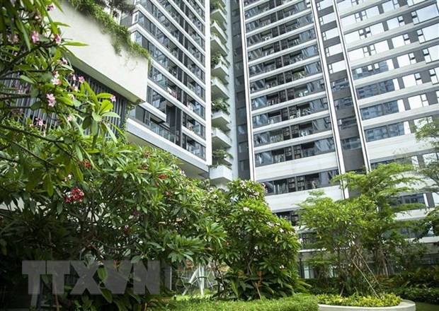 (Ảnh minh họa: Hồng Đạt/TTXVN) (Ảnh minh họa: Hồng Đạt/TTXVN)