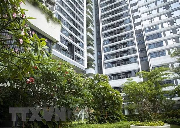 (Ảnh minh họa: Hồng Đạt/TTXVN)