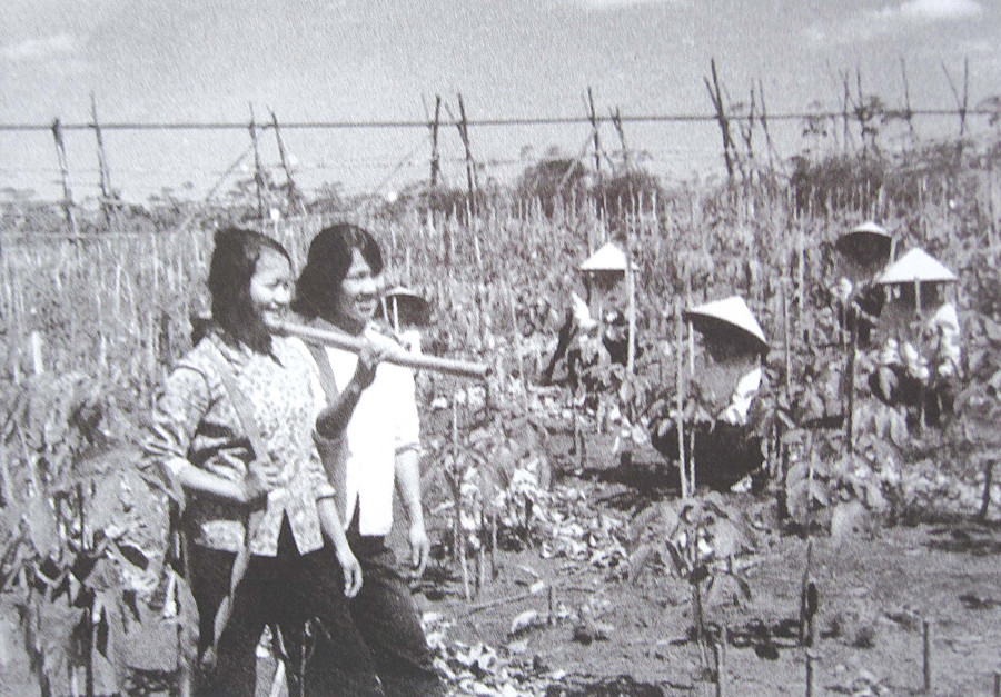 Công nhân Nông trường Cao su Chư Prông vừa sản xuất, vừa sẵn sàng chiến đấu (ảnh tư liệu).