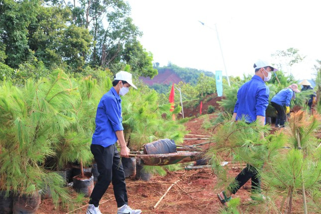 Lực lượng thanh niên tham gia trồng cây xanh