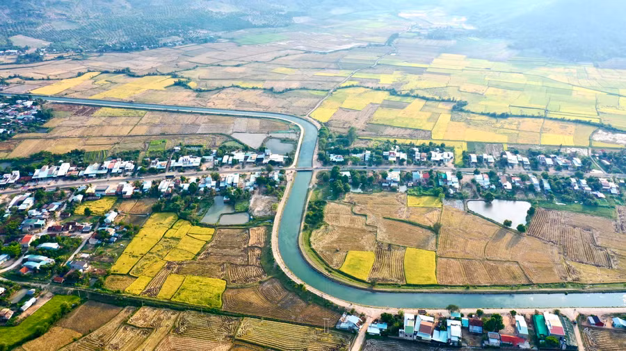 Nước từ công trình đại thủy nông Ayun Hạ đã tưới mát những vùng đất khô khát ở các huyện Phú Thiện, Ia Pa và thị xã Ayun Pa. Ảnh: Minh Nguyễn