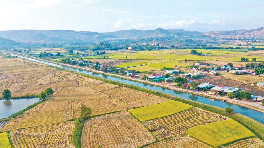  Nước từ công trình đại thủy nông Ayun Hạ đã tưới mát những vùng đất khô khát, làm tăng mạnh diện tích lúa nước ở các huyện Phú Thiện, Ia Pa và thị xã Ayun Pa. Ảnh: Minh Nguyễn