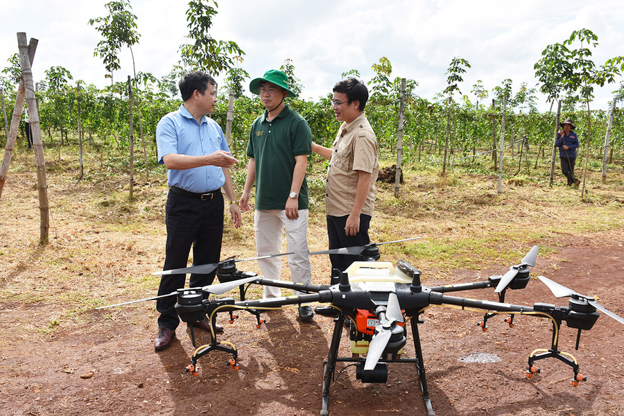 Nhân viên Công ty TNHH một thành viên Xuất nhập khẩu rau quả DOVECO Gia Lai sử dụng máy bay phun thuốc bảo vệ thực vật. Ảnh: Gia Hưng Nhân viên Công ty TNHH một thành viên Xuất nhập khẩu rau quả DOVECO Gia Lai sử dụng máy bay phun thuốc bảo vệ thực vật. Ảnh: Gia Hưng