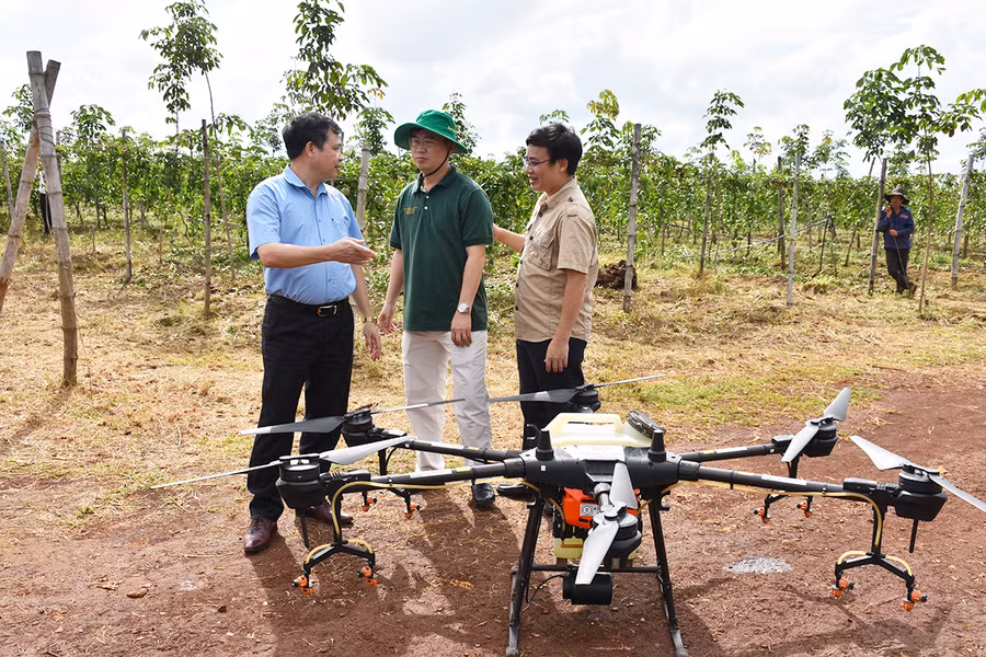 Nhân viên Công ty TNHH một thành viên Xuất nhập khẩu rau quả DOVECO Gia Lai sử dụng máy bay phun thuốc bảo vệ thực vật. Ảnh: Gia Hưng Nhân viên Công ty TNHH một thành viên Xuất nhập khẩu rau quả DOVECO Gia Lai sử dụng máy bay phun thuốc bảo vệ thực vật. Ảnh: Gia Hưng