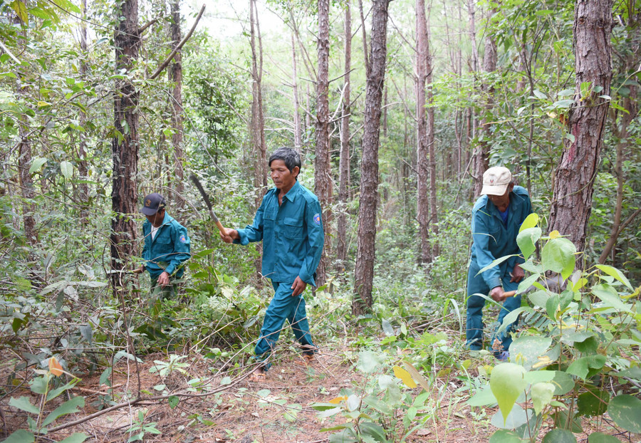 Nhờ chính sách chi trả DVMTR, cộng đồng làng, hộ gia đình và nhóm hộ tham gia nhận khoán quản lý, bảo vệ rừng có thêm nguồn thu nhập ổn định. Ảnh: Minh Nguyễn