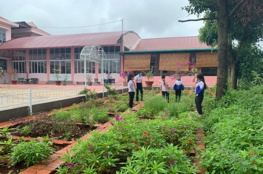 Học sinh Trường Tiểu học Hùng Vương (thị trấn Chư Prông) được trải nghiệm các hoạt động trồng rau và hoa trong khuôn viên trường. Ảnh: Hà Duy
