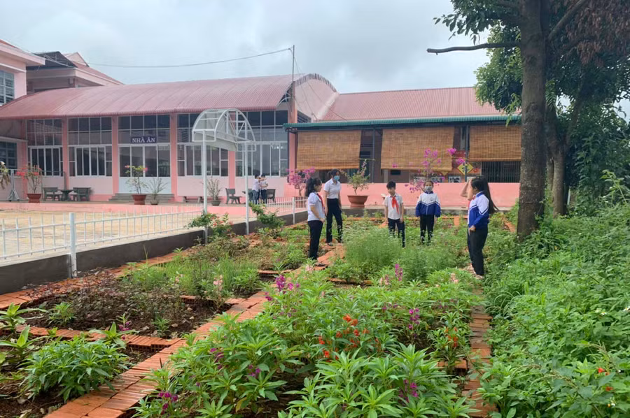 Học sinh Trường Tiểu học Hùng Vương (thị trấn Chư Prông) được trải nghiệm các hoạt động trồng rau và hoa trong khuôn viên trường. Ảnh: Hà Duy