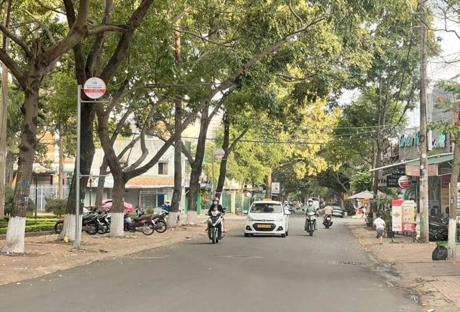 Do không có vạch kẻ phân chia làn đường nên phương tiện lưu thông trên đường Lê Thị Hồng Gấm lưu thông theo kiểu “mạnh ai nấy đi“. Ảnh: Phan Tuấn Do không có vạch kẻ phân chia làn đường nên phương tiện lưu thông trên đường Lê Thị Hồng Gấm lưu thông theo kiểu “mạnh ai nấy đi“. Ảnh: Phan Tuấn