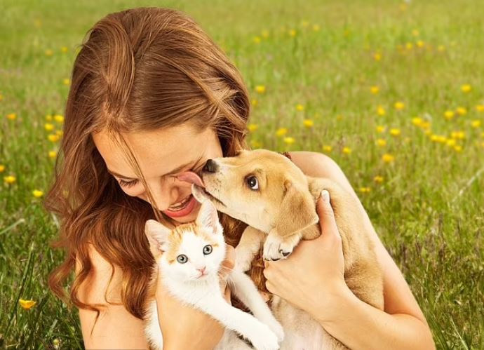 Hiện một nghiên cứu mới đang kêu gọi những người nuôi chó đừng để chó liếm họ, và cần phải rửa tay sau khi vuốt ve chó. Ảnh: Shutterstock