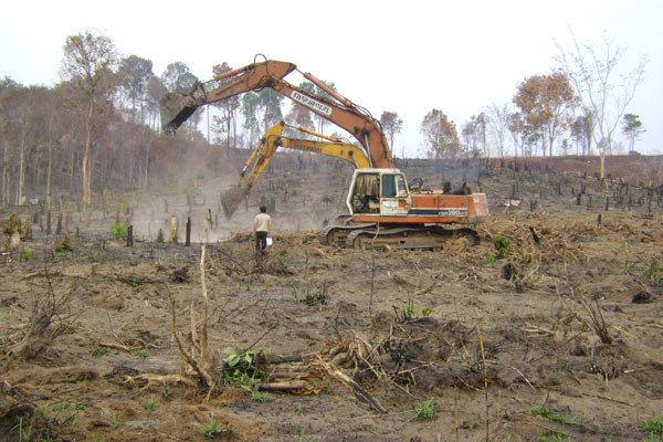 Dùng máy móc để khai hoang. Ảnh: Đ.Y Dùng máy móc để khai hoang. Ảnh: Đ.Y