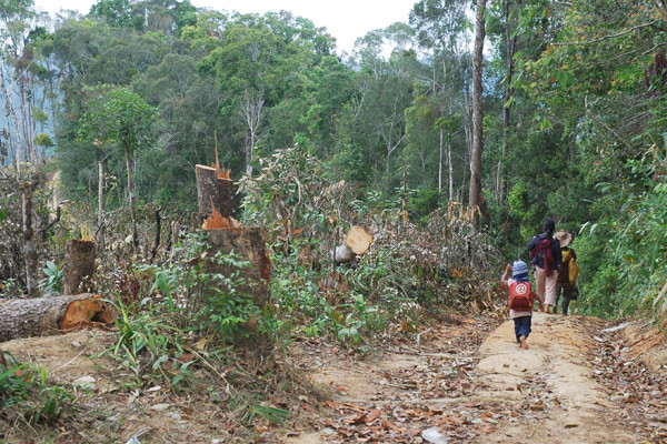 Ảnh: Nguyễn Giác Ảnh: Nguyễn Giác