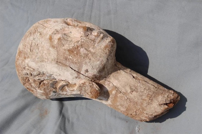 Bức tượng gỗ bán thân được cho là chân dung Nữ hoàng Ankhnespepy II vừa được khai quật ở Saqqara.