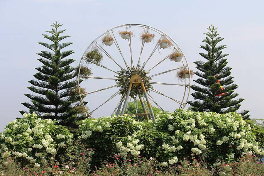 “Vòng tròn hạnh phúc” được treo những giỏ hoa cỏ lãng mạn
