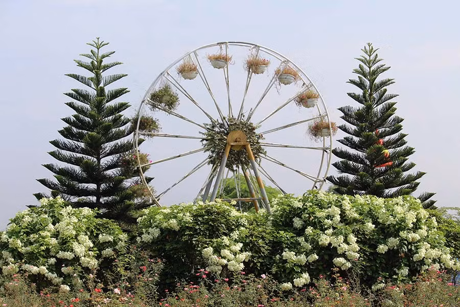 “Vòng tròn hạnh phúc” được treo những giỏ hoa cỏ lãng mạn