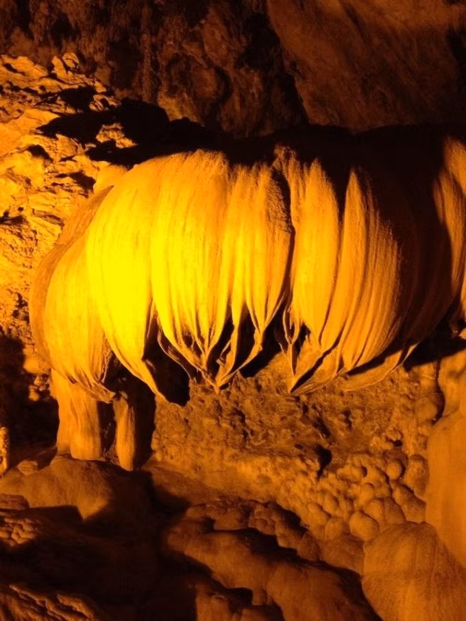 Đài sen úp ngược.