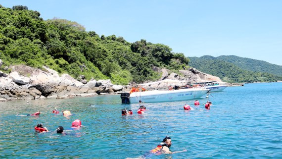 Du khách bơi lặn ngắm san hô ở Cù Lao Chàm. Du khách bơi lặn ngắm san hô ở Cù Lao Chàm.