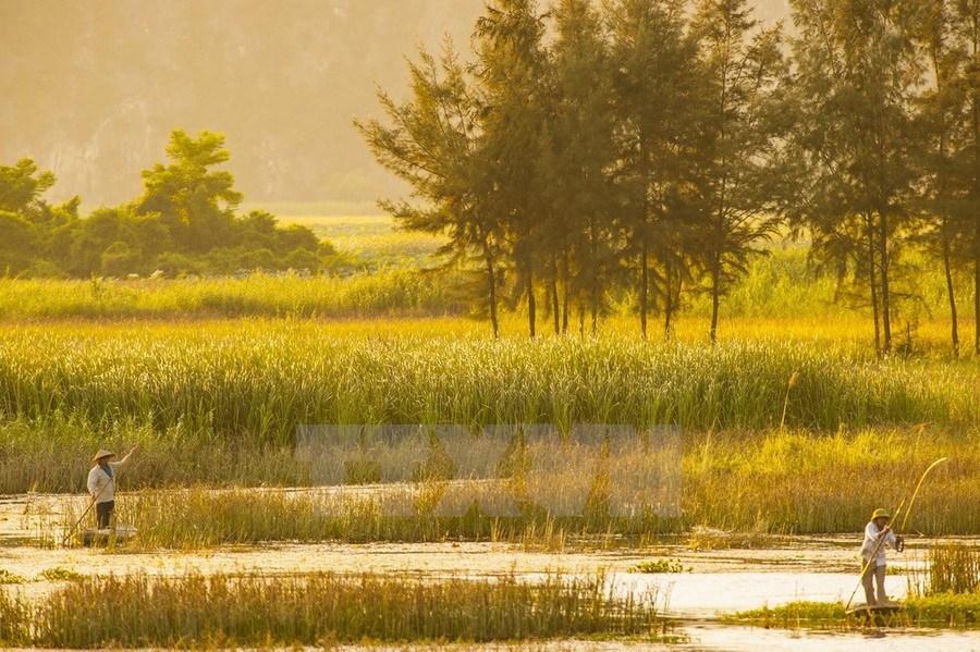 Khu bảo tồn nằm ở phía đông bắc huyện Gia Viễn, tỉnh Ninh Bình.