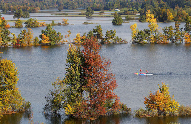 Người dân khua máy chèo trên vùng ngập lụt giữa khung cảnh lãng mạn thu vàng tại Planina, Slovenia. Ảnh: Srdjan Zivulovic/Reuters