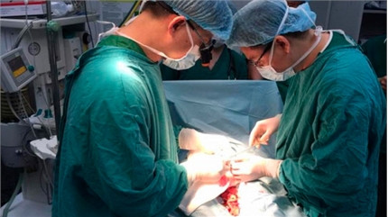 Ảnh minh họa Ảnh minh họa