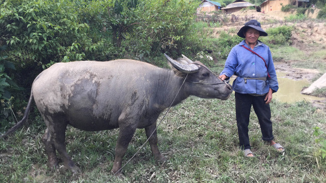 Ông Tráng Sèo Tú (Cư Pui, Krông Bông, Đak Lak): ngoài quê thiếu đất sản xuất, nghĩ đến còn thấy sợ. Ông Tráng Sèo Tú (Cư Pui, Krông Bông, Đak Lak): ngoài quê thiếu đất sản xuất, nghĩ đến còn thấy sợ.