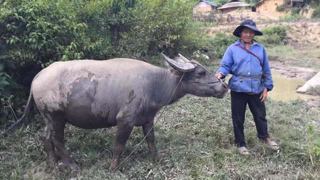 Ông Tráng Sèo Tú (Cư Pui, Krông Bông, Đak Lak): ngoài quê thiếu đất sản xuất, nghĩ đến còn thấy sợ.