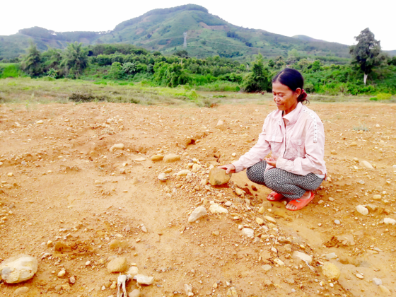 Bà Y Tun ngán ngẩm vì khu đất ruộng phải bỏ hoang sau khi giao cho công ty khai thác vàng.