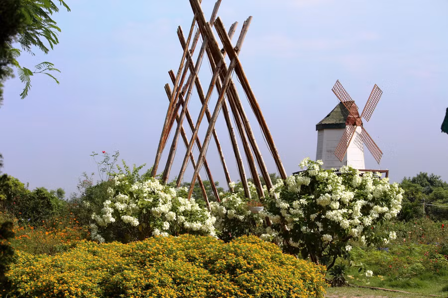 Quạt gió và giàn hoa