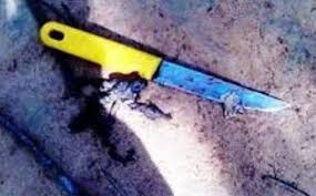 Ảnh minh họa Ảnh minh họa