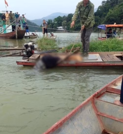 Hiện trường nơi phát hiện thi thể nam thanh niên.