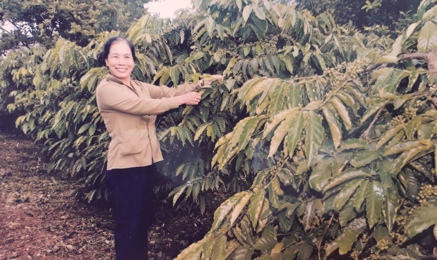 Nhiều hội viên đã nỗ lực vươn lên làm giàu và giúp đỡ đồng đội khó khăn khác cùng vươn lên trong cuộc sống. Ãnh: Mai Ka đã nỗ lực vươn lên làm giàu và còn giúp đỡ đồng đội khó khăn khác cùng vươn lên trong cuộc sống.