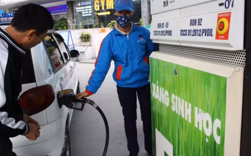 Cần có cơ chế về thuế và giá cũng như tăng cường tuyên truyền cho người tiêu dùng hiểu và sử dụng xăng sinh học E5. (Ảnh minh họa: KT)
