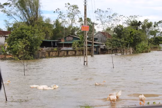 Nhiều xã bị ngập sâu vì vỡ đập.