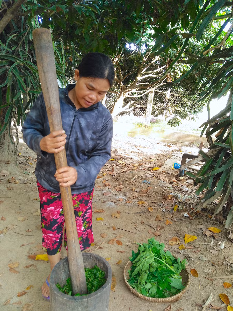 Lá mì và đọt đu đủ được giã nát để khi nấu nhanh mềm và thấm gia vị. Ảnh: Mộc Trà