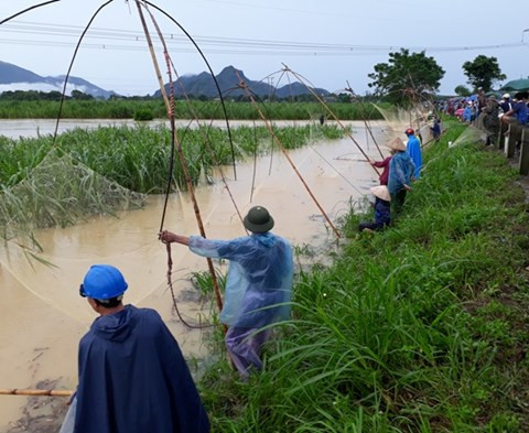 Ảnh minh họa Ảnh minh họa