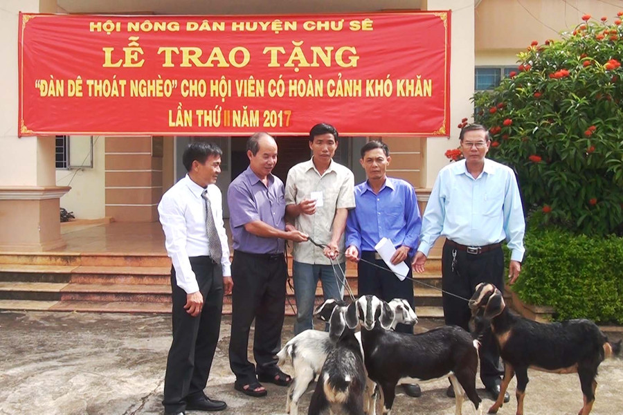Lễ trao đàn dê thoát nghèo cho hội viên. Ảnh: Mỹ Đức Lễ trao đàn dê thoát nghèo cho hội viên. Ảnh: Mỹ Đức