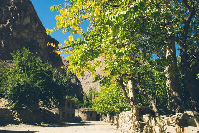 Đường trek lên view point 