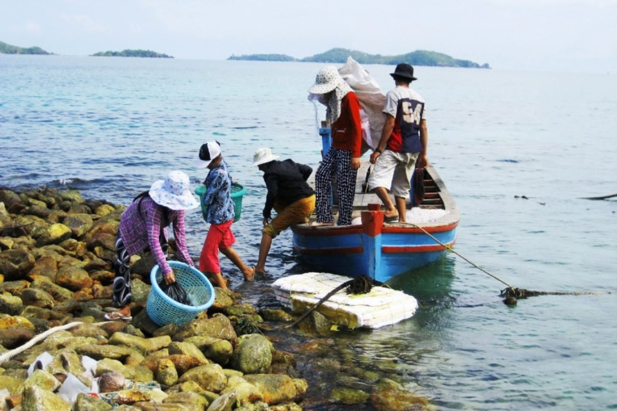 Mỗi ngày, con gái ông Sáu Ánh chở cá sang hòn Ngang để bán rồi mua nhu yếu phẩm về.