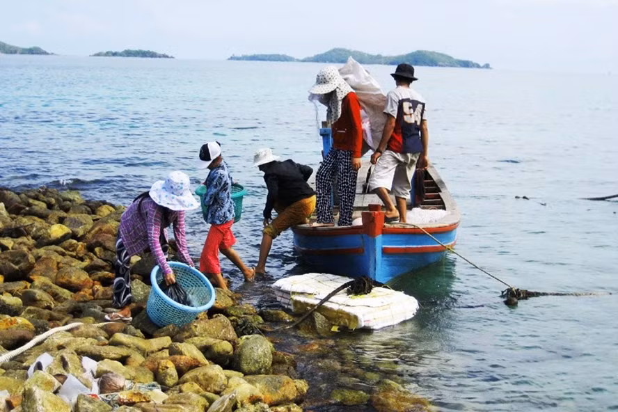 Mỗi ngày, con gái ông Sáu Ánh chở cá sang hòn Ngang để bán rồi mua nhu yếu phẩm về.