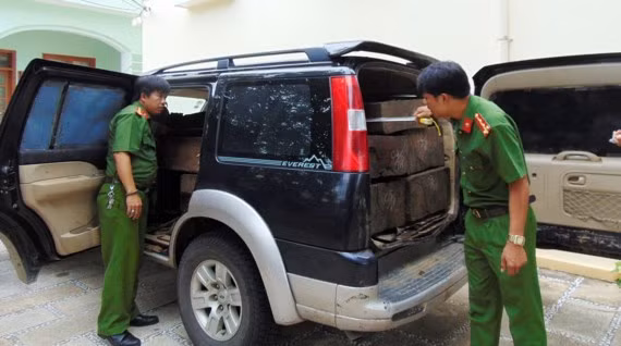 Xe ô tô chở 5 phách gỗ xoan đào bị cơ quan chức năng phát hiện, bắt giữ.