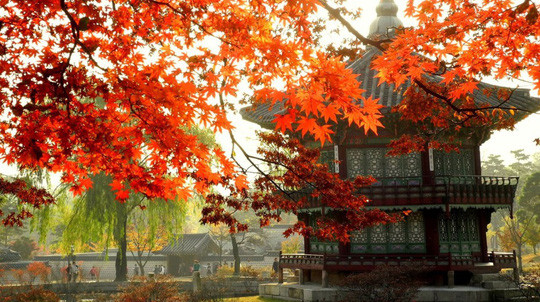 Du lịch Hàn Quốc.