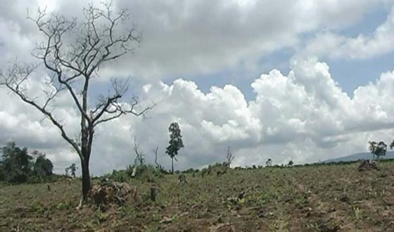 Rừng cộng đồng buôn K’rai, xã Ea Hiao, huyện Ea Hleo (tỉnh Đak Lak) bị chặt phá trơ trụi để lấy đất làm rẫy. Rừng cộng đồng buôn K’rai, xã Ea Hiao, huyện Ea Hleo (tỉnh Đak Lak) bị chặt phá trơ trụi để lấy đất làm rẫy.