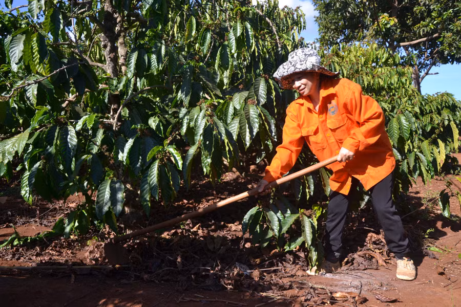 Hội viên phụ nữ được vay vốn từ các tổ tiết kiệm để phát triển kinh tế. Ảnh: N.T