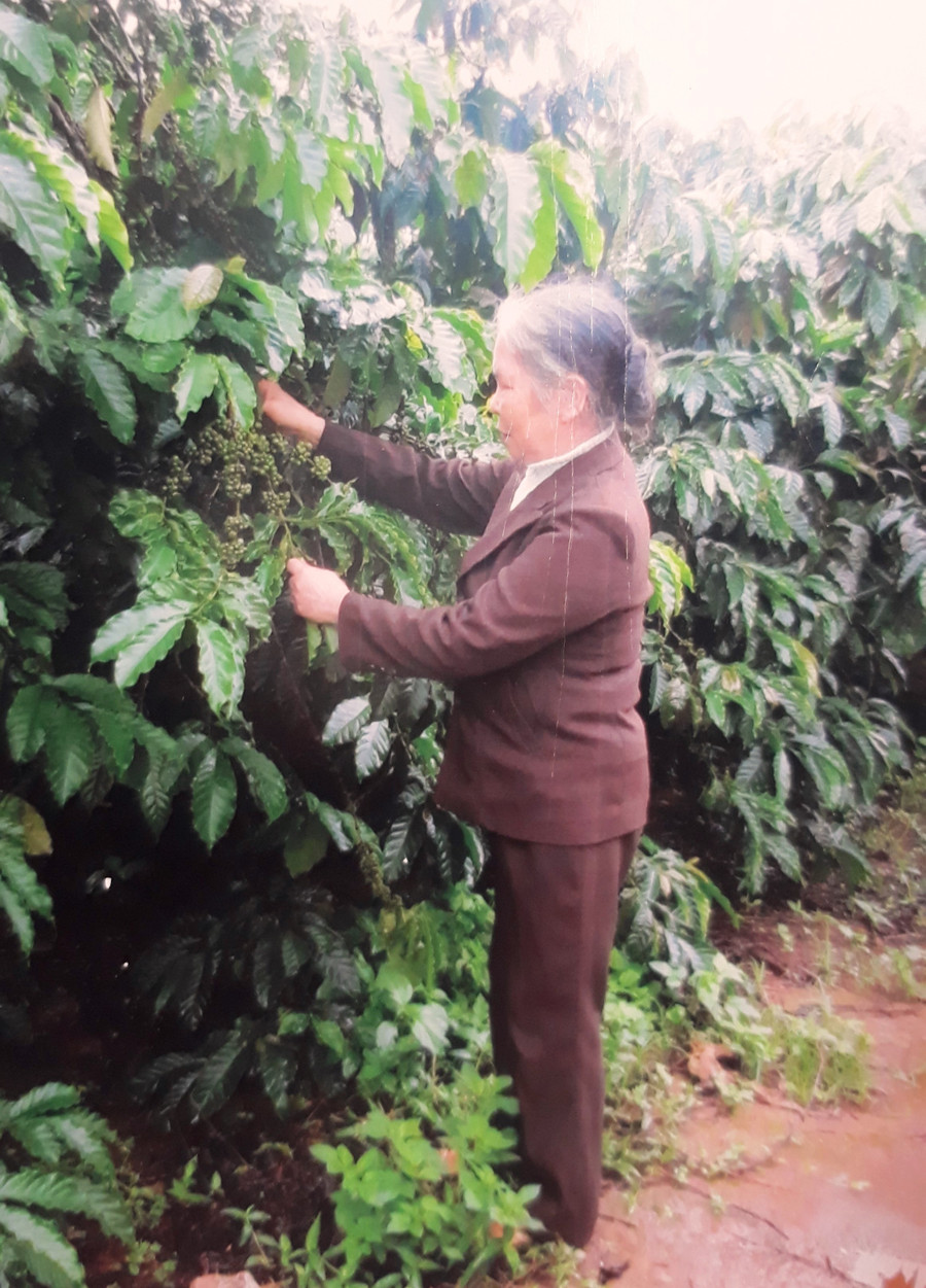 Bà Bùi Thị Thân (thôn Khối Zố, xã Ia Tiêm) là tấm gương tiêu biểu cựu TNXP làm kinh tế giỏi. Ảnh: Mai Ka bà Bùi Thị Thân (thôn Khối Zố, xã Ia Tiêm) cũng là tấm gương tiêu biểu cựu TNXP làm kinh tế giỏi