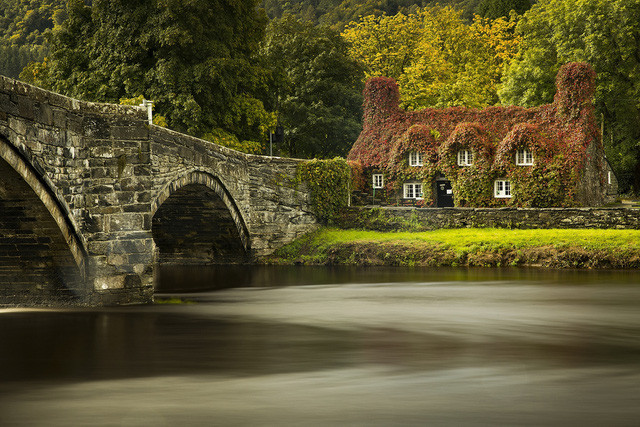 Khung cảnh sắc thu bên bờ sông Conwy, phía bắc xứ Wales. Ảnh: Christopher Furlong/Getty