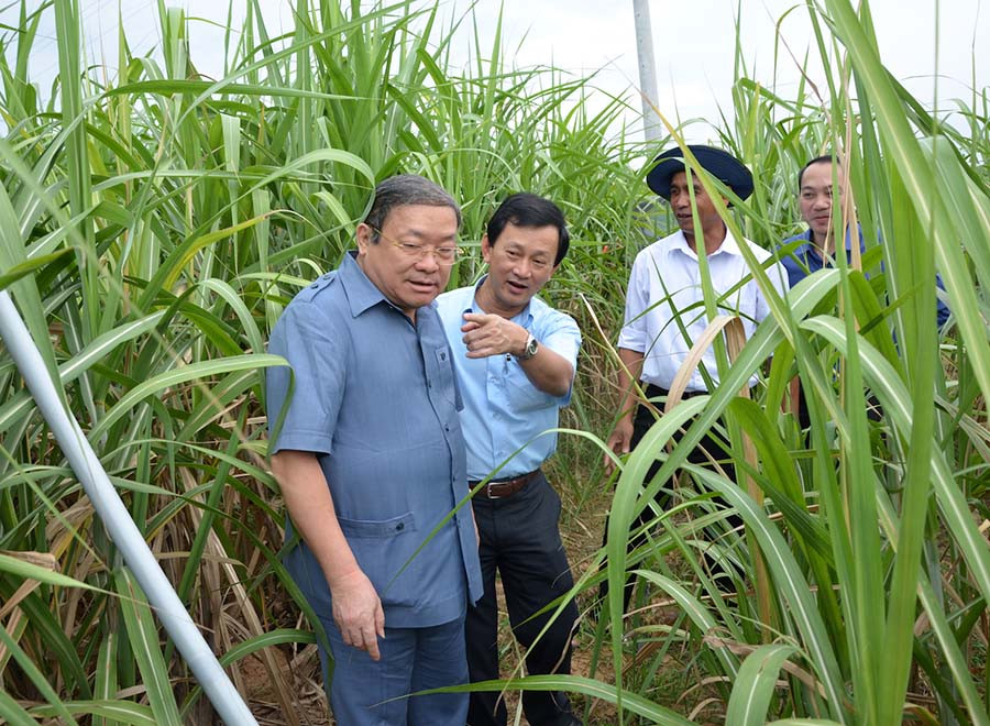 Bí thư Tỉnh ủy Dương Văn Trang và Phó trưởng Ban Dân vận Trung ương Thào Xuân Sùng thị sát cánh đồng mía mẫu lớn làng Bông. Ảnh: Đức Phương